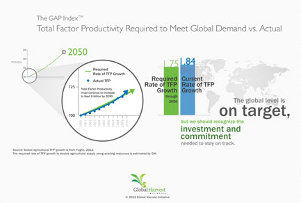 Infographic Design Infographic Design